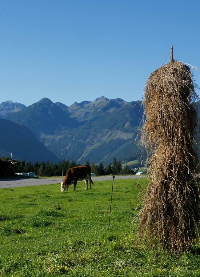 Vila Landl Vorberg Ramsau am Dachstein Exteriér fotografie